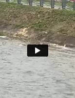 VIDEO KHONG CHE; cân nhắc khi xem