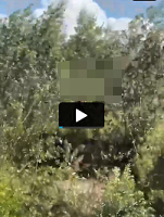 VIDEO KHONG CHE; cân nhắc khi xem