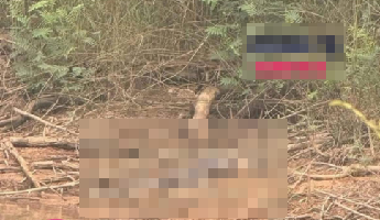 ANH KHONG CHE: cân nhắc khi xem