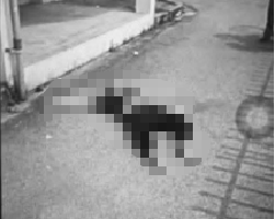 ANH KHONG CHE: cân nhắc khi xem