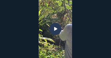 VIDEO KHONG CHE:cân nhắc khi xem