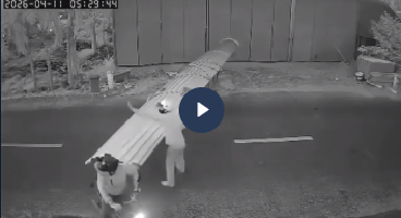 VIDEO KHONG CHE:cân nhắc khi xem