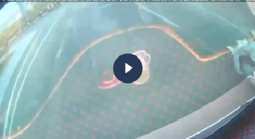 VIDEO KHONG CHE: cân nhắc khi xem